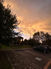 ✨Jenny✨'s avatar