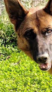 🍧🍭Candy Mare group🍬🍧's avatar