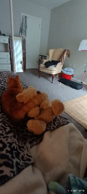 ꧁⋆☾ Cᴀʟʏᴘsᴏ ☽⋆꧂'s avatar