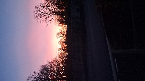 Here for you 🫵❤️'s avatar