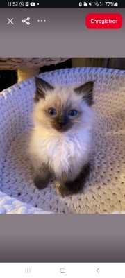 Chaîne REPOST 's avatar