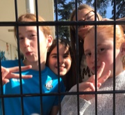 5 filles 5 vis's avatar