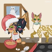 Schmetterlingsflug🦋💫's avatar