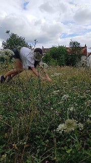 Jessy_therian 's avatar