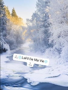 Le Fil De Ma Vie's avatar