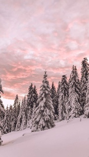 Preppy life's avatar