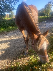 🎀🐴KADJLYNA🐴🎀's avatar