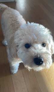 ~Kim✨😉's avatar