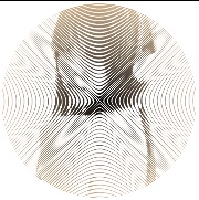 I.NxLee Know_4ever's avatar