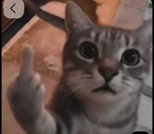 Fatemi essere un polpo's avatar