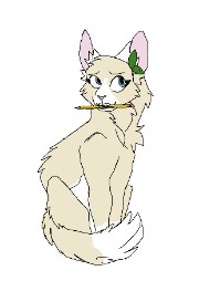 Sommerlaub_☀️🍂's avatar