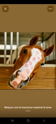 Adèle 🪩 's avatar