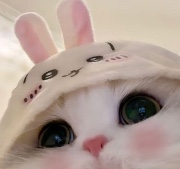 𐙚𝐦𝐲 𝐚𝐞𝐬𝐭𝐡𝐞𝐭𝐢𝐜𐙚's avatar