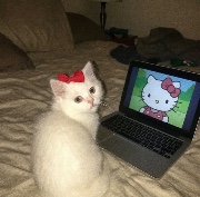 @𝐕𝐥𝐨𝐠𝐬𝐛𝐲𝐃𝐚𝐞𝐮𝐧🪞🎀's avatar