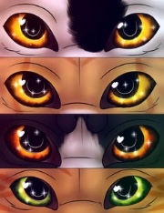 Brombeerpelz 🍇's avatar