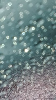 🫐blueberry🫐's avatar