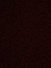 sᥱᥡᥙᥒ's avatar