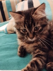 Nerin@'slife's avatar