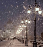 Vivi❄️⛸️🤍's avatar