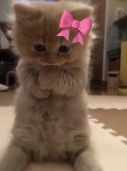 ιναиσναα's avatar