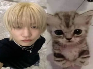 kittyseob !'s avatar