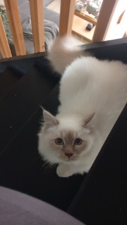 Mayssane ⚽🇲🇦🥰's avatar