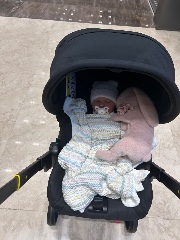 Olivia😬🎃🤭🦁🤭🎄🎄🎄🎄's avatar