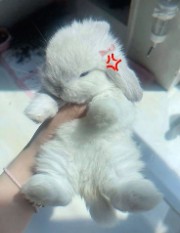 @Me_Here✨'s avatar