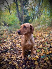 Slayqueen1234's avatar