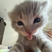 𝑪𝑨𝑴𝑨𝑰𝑳𝑳𝑬🪽's avatar