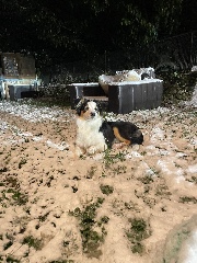 🎀Jade🎀's avatar