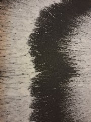 question, reponse's avatar