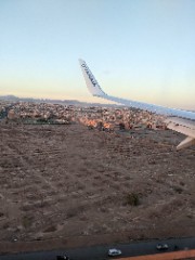 Lupa 💋🤍🍄's avatar