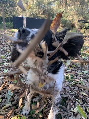 Selin des îles 's avatar