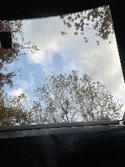 Vitto⭐️'s avatar