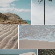 Lucy!🫶🎀's avatar