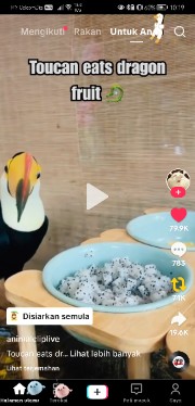 kiwi_peakness's avatar