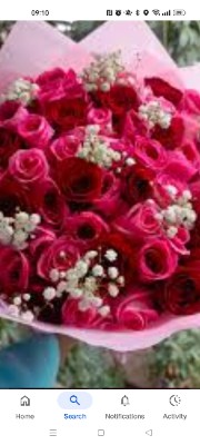 Aesthetic girl lifes's avatar