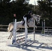 🎀My life🪩's avatar