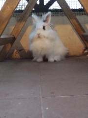 Amber 🍁🍂's avatar