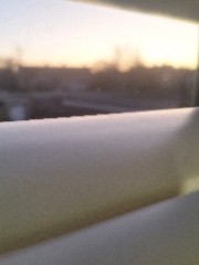 𝑍'𝑠 𝐷𝑎𝑖𝑙𝑦 𝐷𝑎𝑖𝑟𝑦's avatar