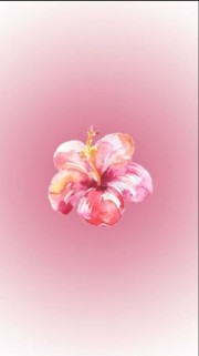 Envoi nous des messages ano 's avatar