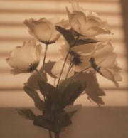 𐔌՞. .՞𐦯's avatar