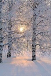 🍙 Le mec de ♾️🍪's avatar