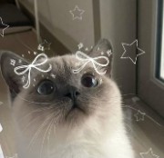 🌙 Adele🌙's avatar