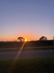 C+S’slifex's avatar