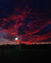 Sarita 👹's avatar