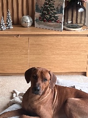 💕🤪Juste 2 cavalière🤪💕's avatar