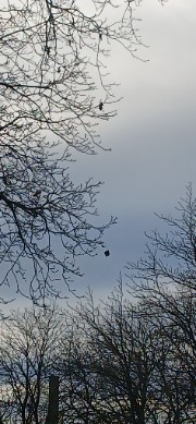 UrFavMariiiiiiiii's avatar