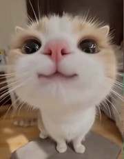 𝗠𝗶𝗮's avatar